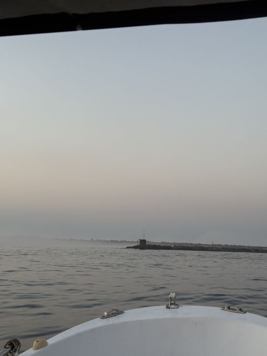 Spot photo 1