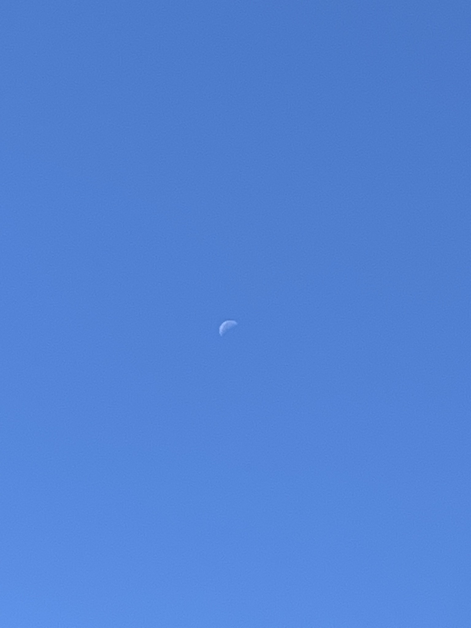 Spot photo 2