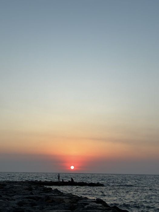 Spot photo 1