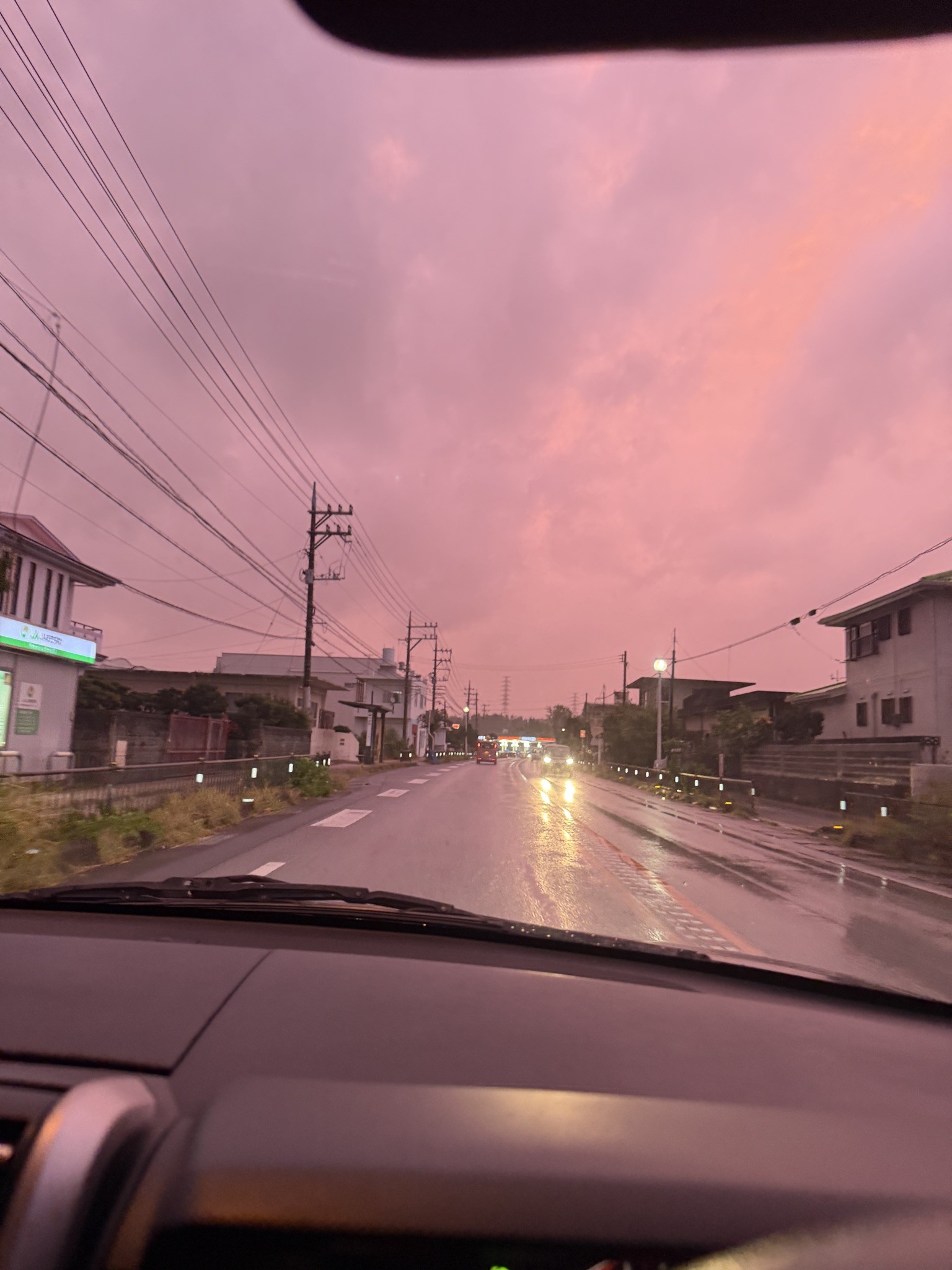 Spot photo 2