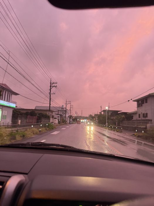 Spot photo 2