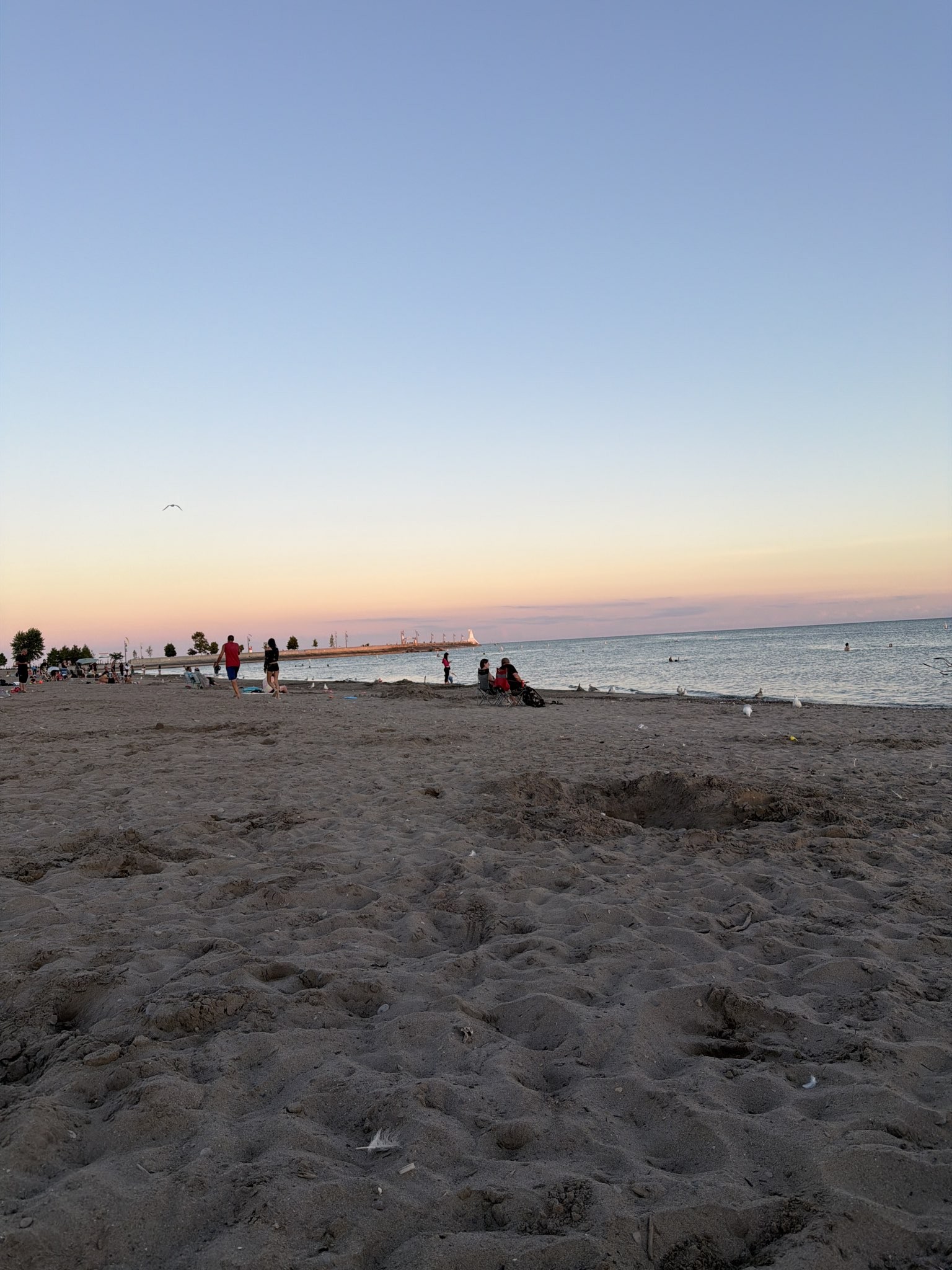 Spot photo 1