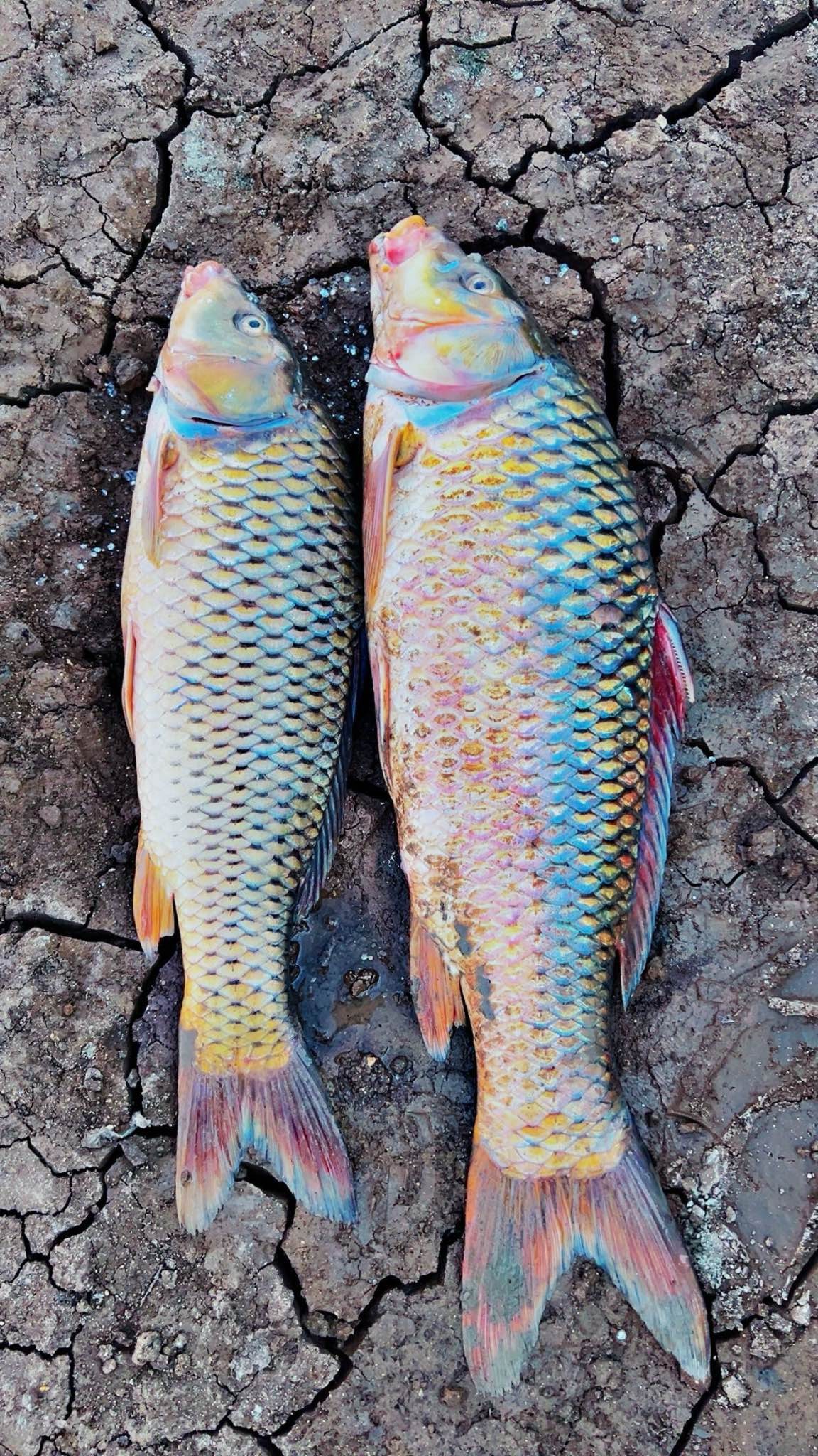 地点照片 1