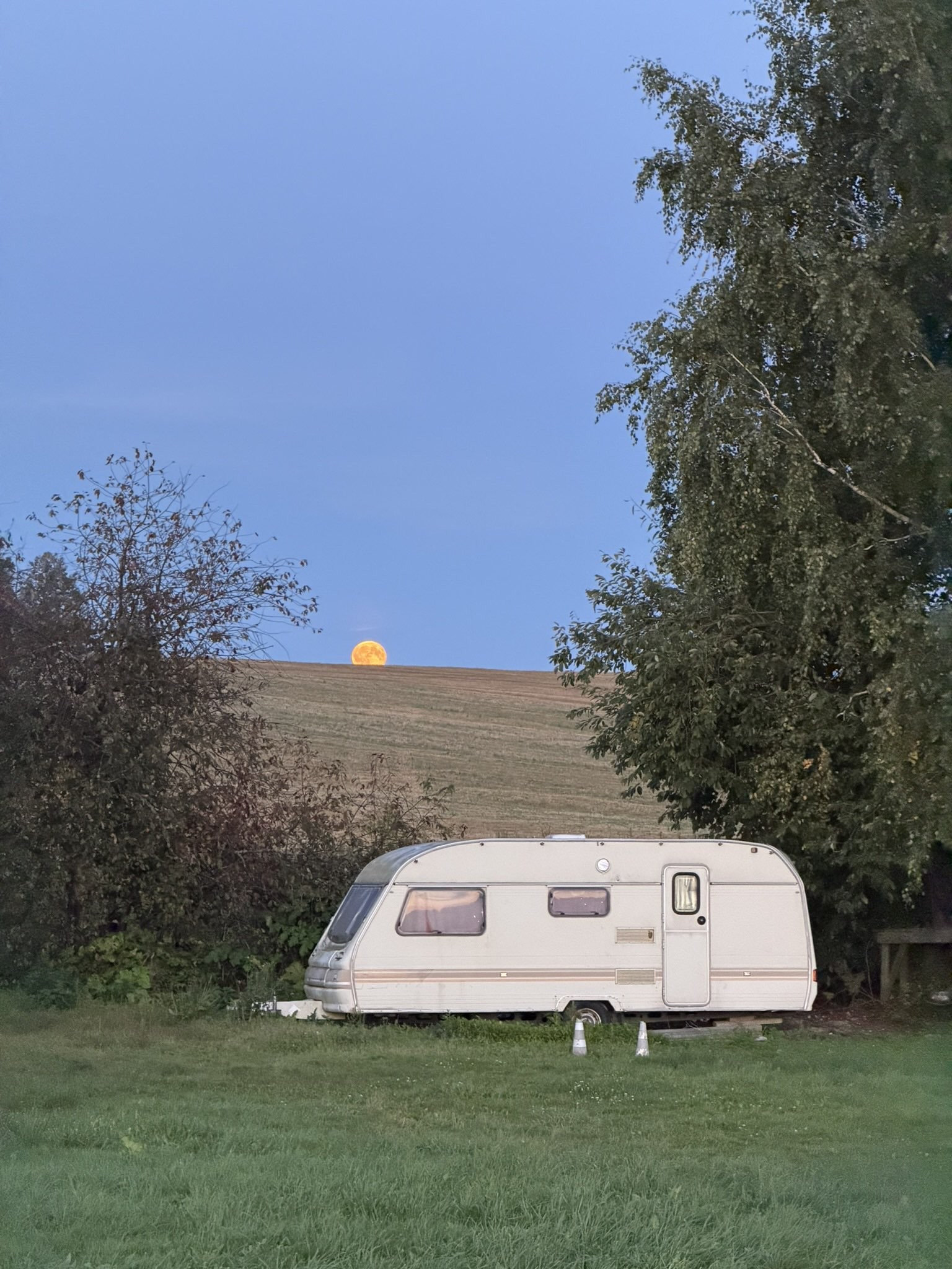 Spot photo 1