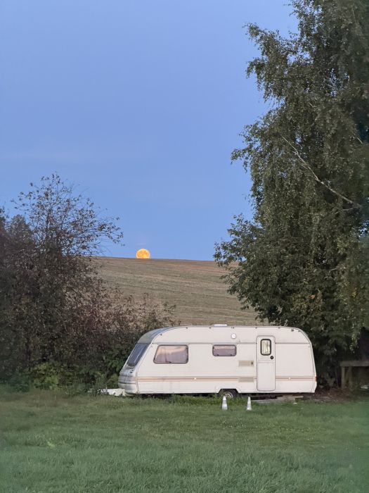 Spot photo 1