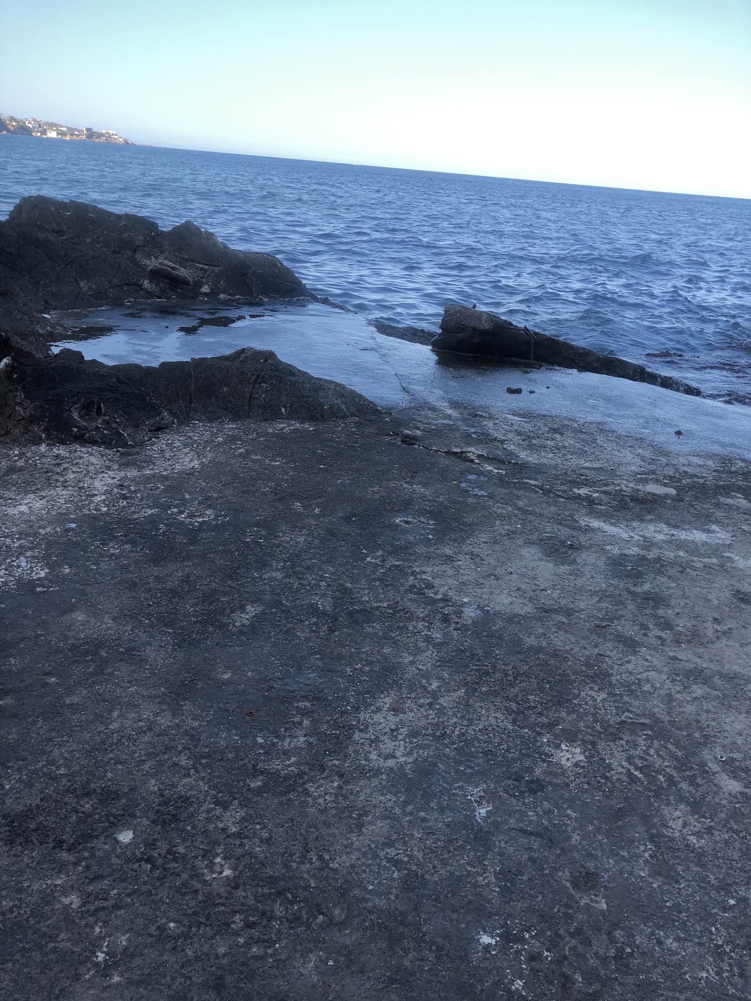 Spot photo 1