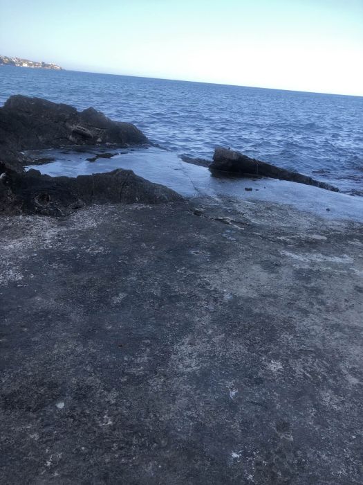 Spot photo 1