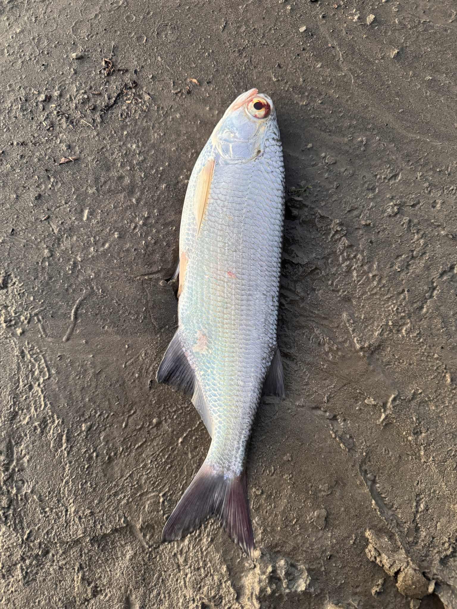 地点照片 1