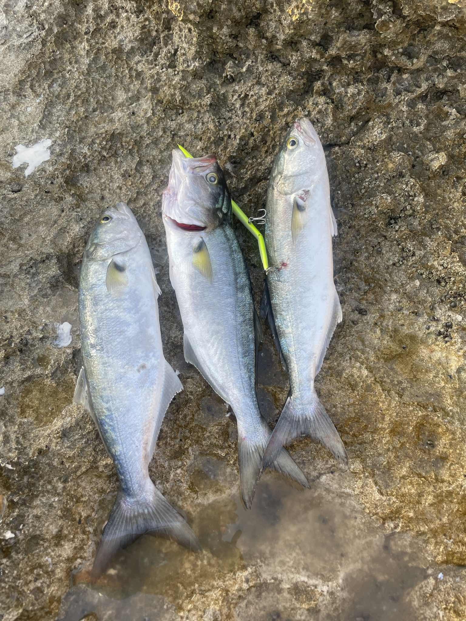 地点照片 2