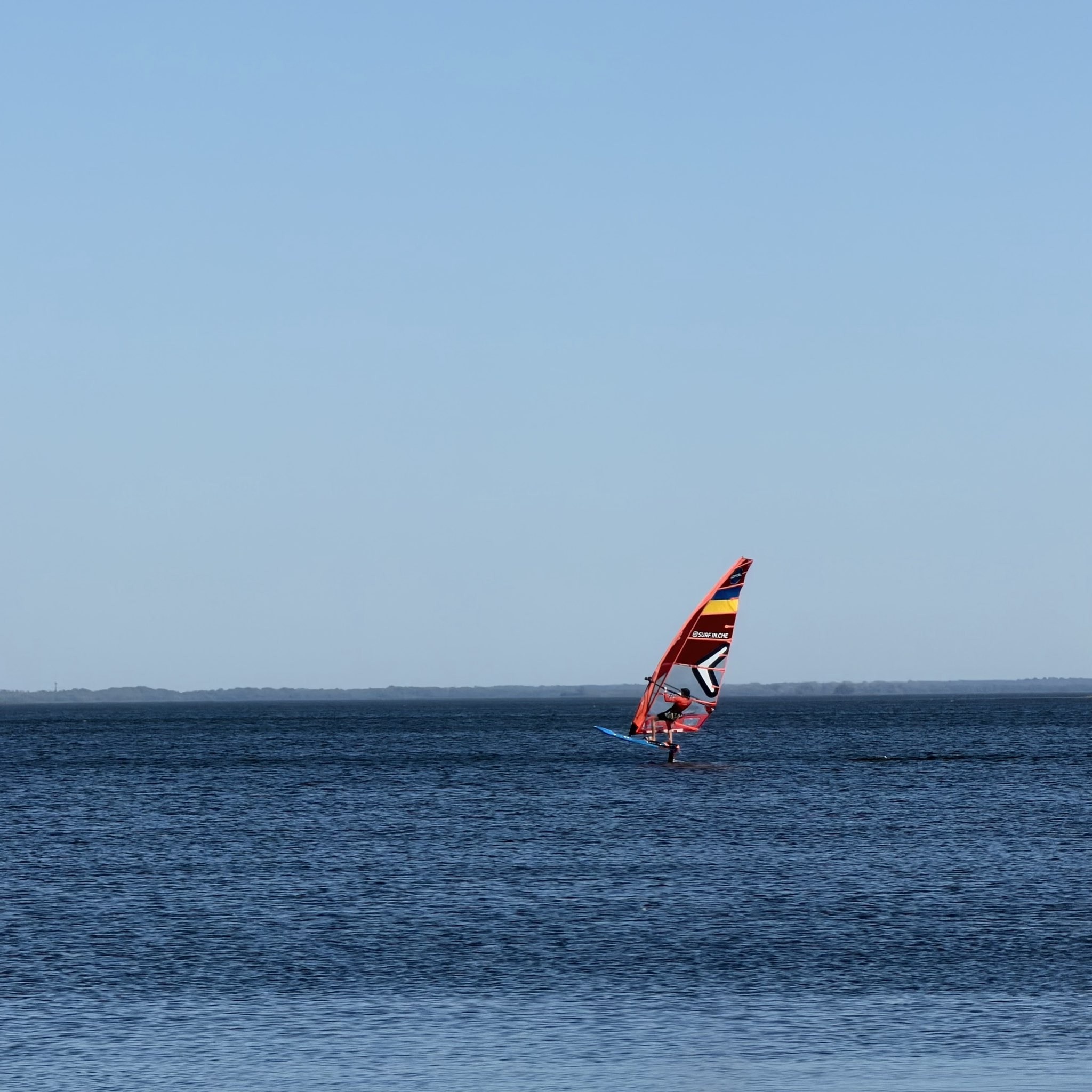 Spot photo 1