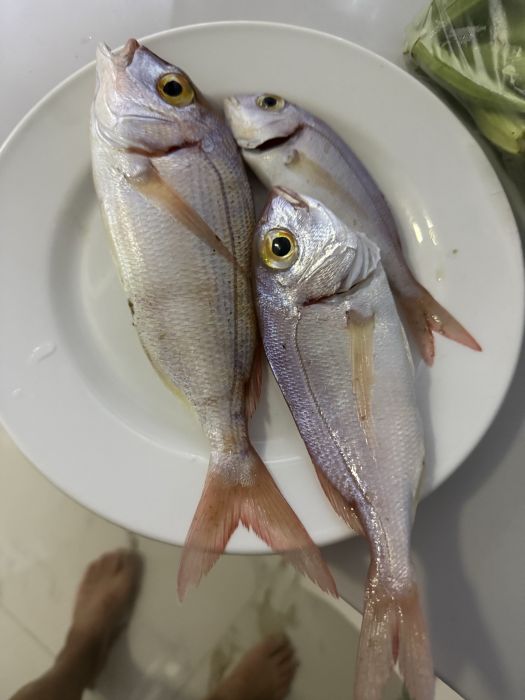 스팟 사진 1