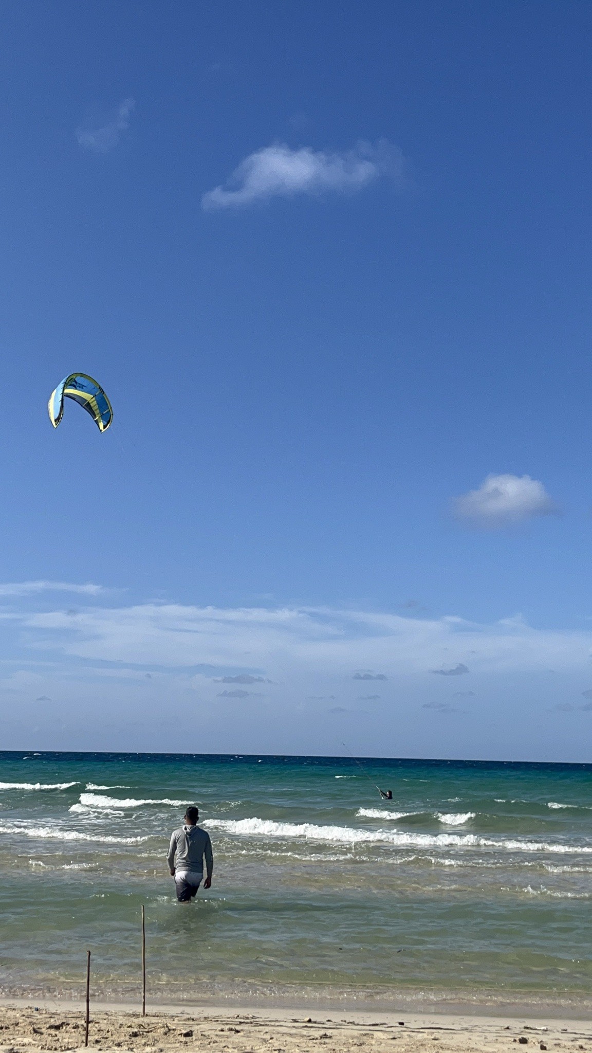 Spot photo 3