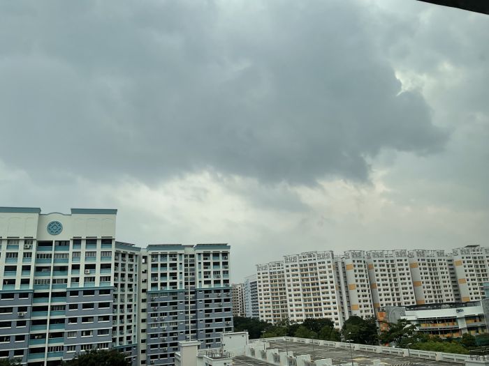 Spot photo 1