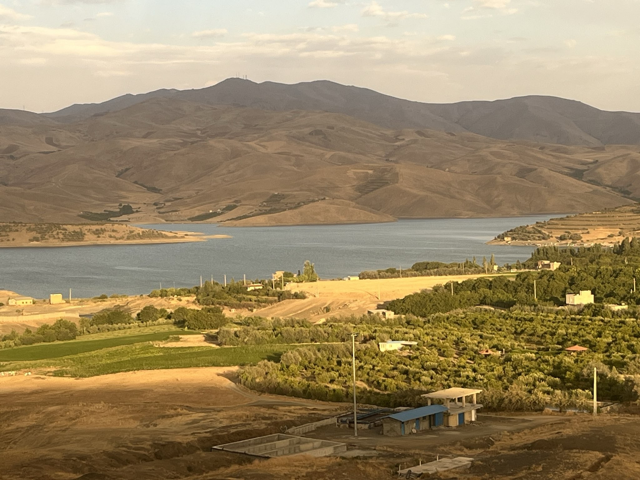 Spot photo 1