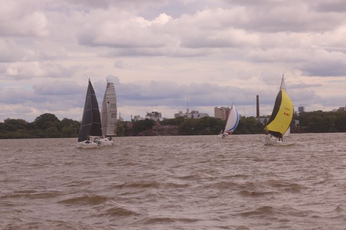 Spot photo 1