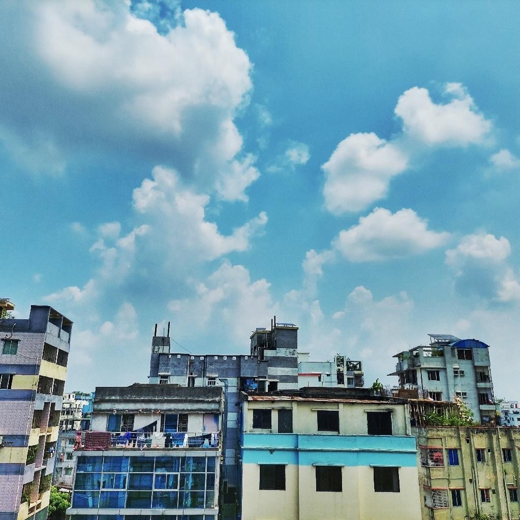 Spot photo 9