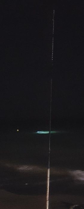 Spot photo 21