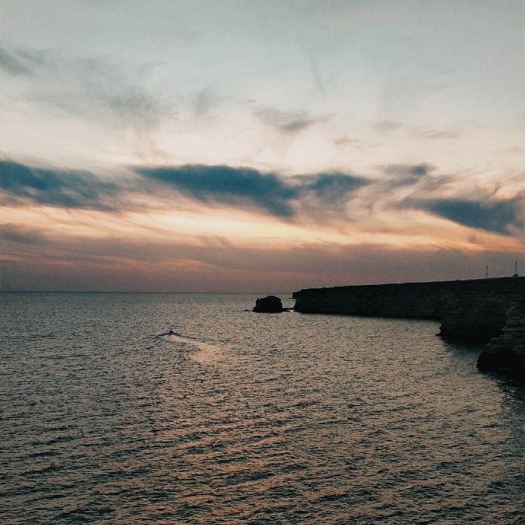 Spot photo 1