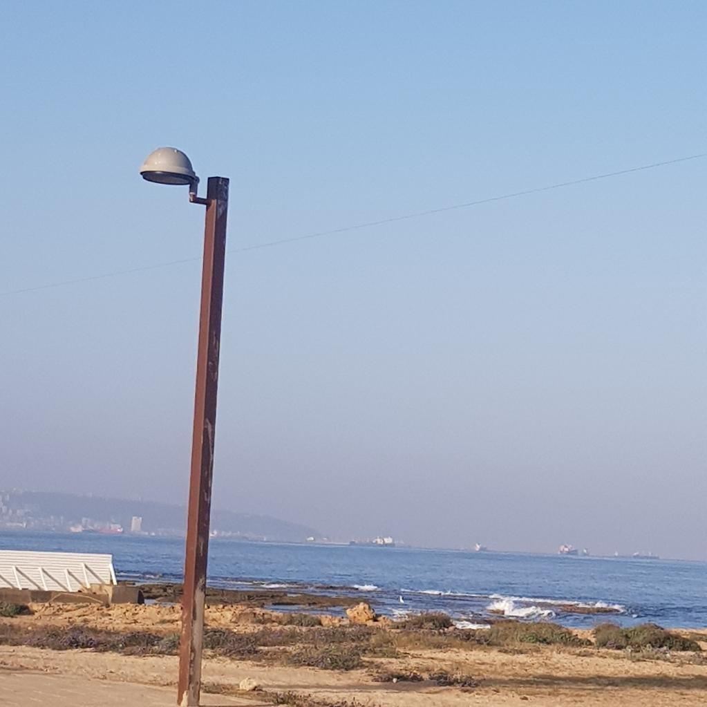 Spot photo 1