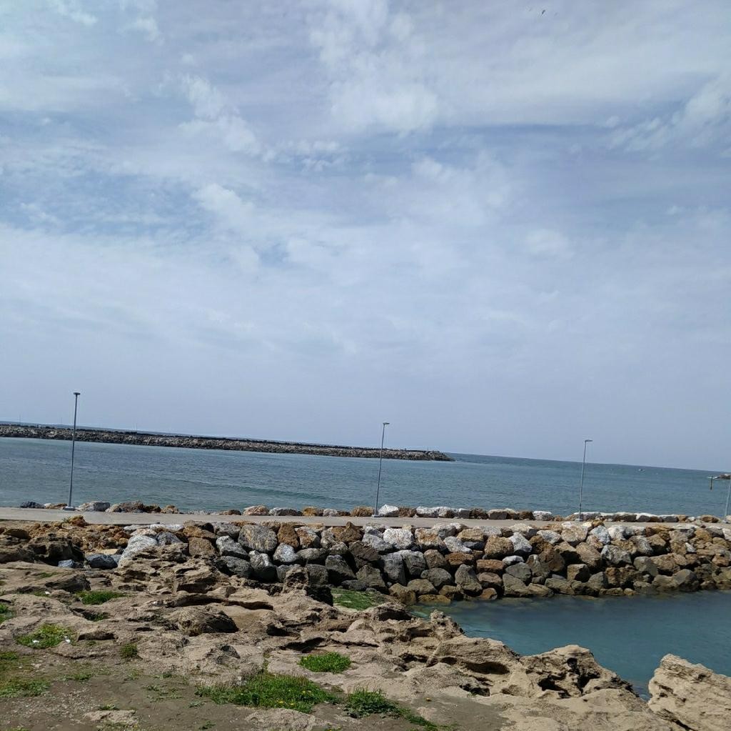 Spot photo 157