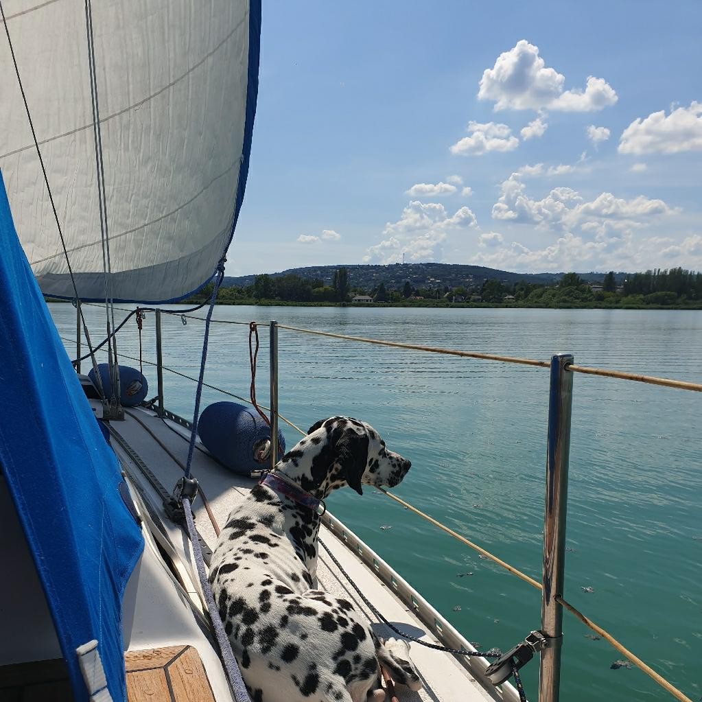 Spot photo 25