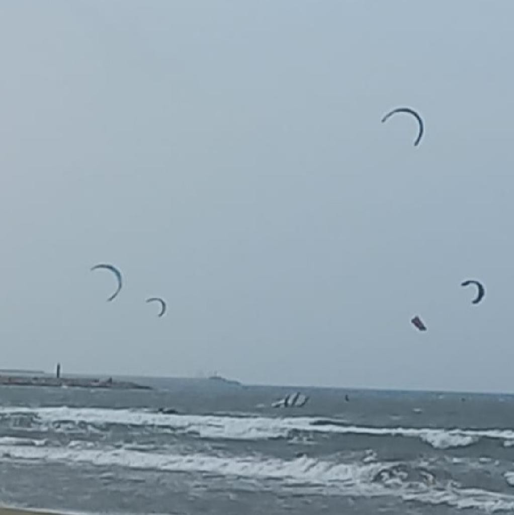 Spot photo 11