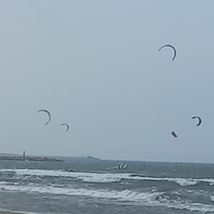 Spot photo 11