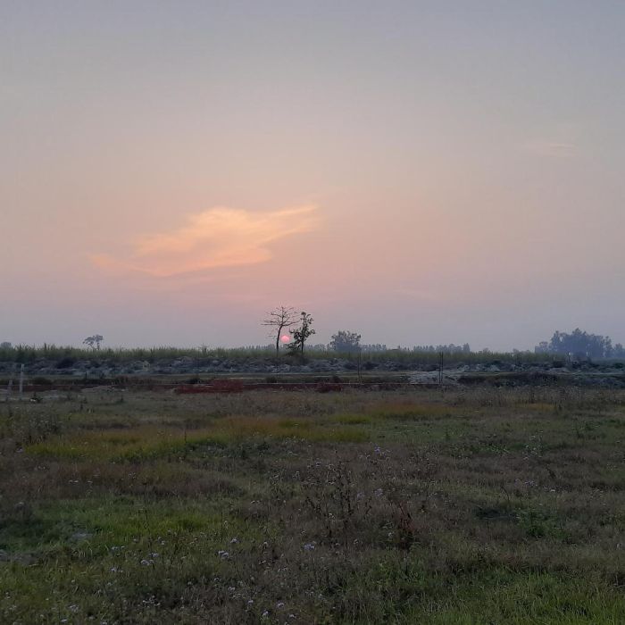 Spot photo 1