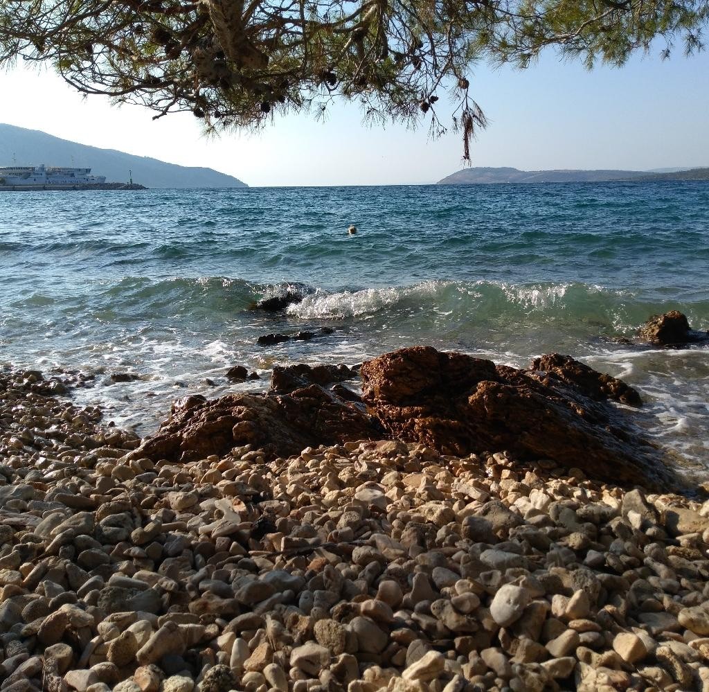 Spot photo 10