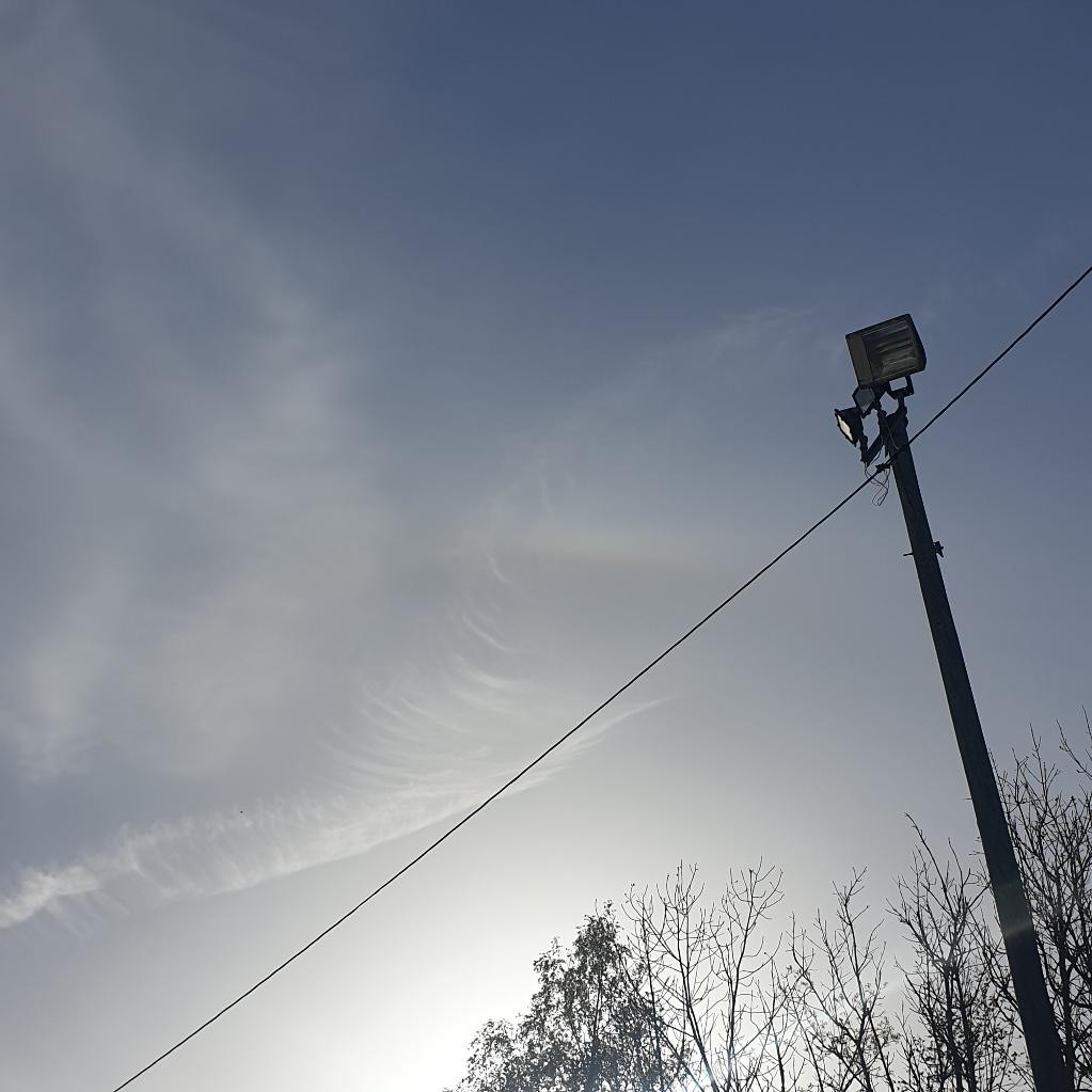 Spot photo 4