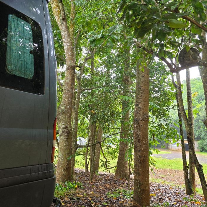 Spot photo 571