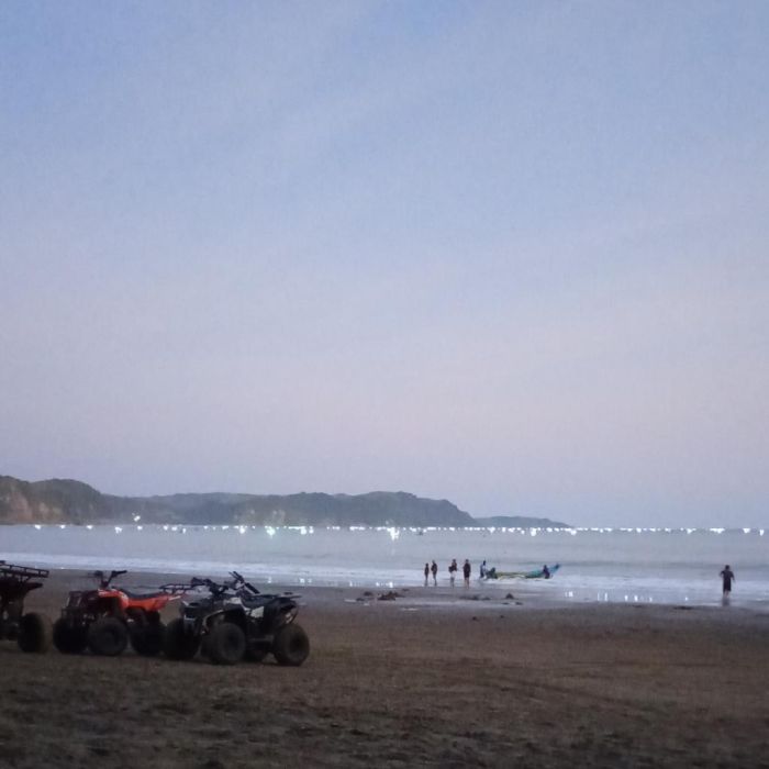 Spot photo 527
