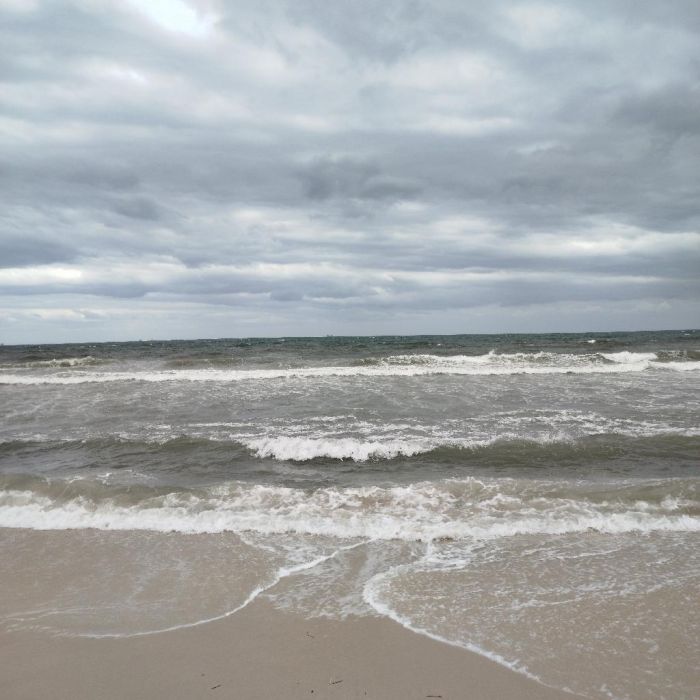 Spot photo 492