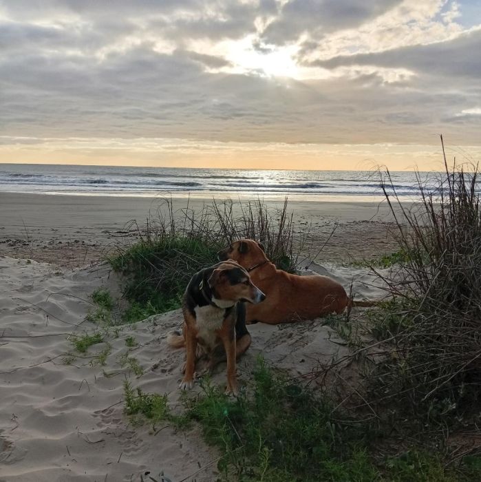 Spot photo 472