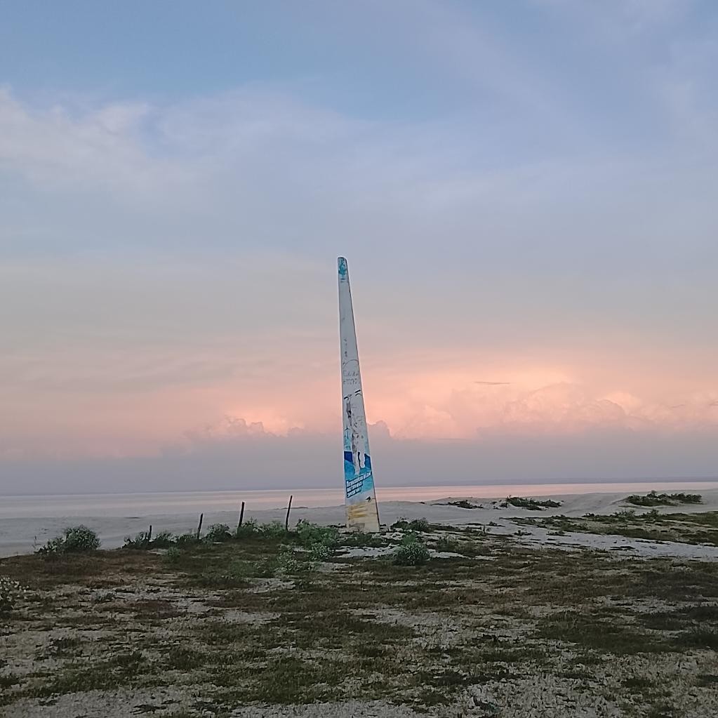 Spot photo 5