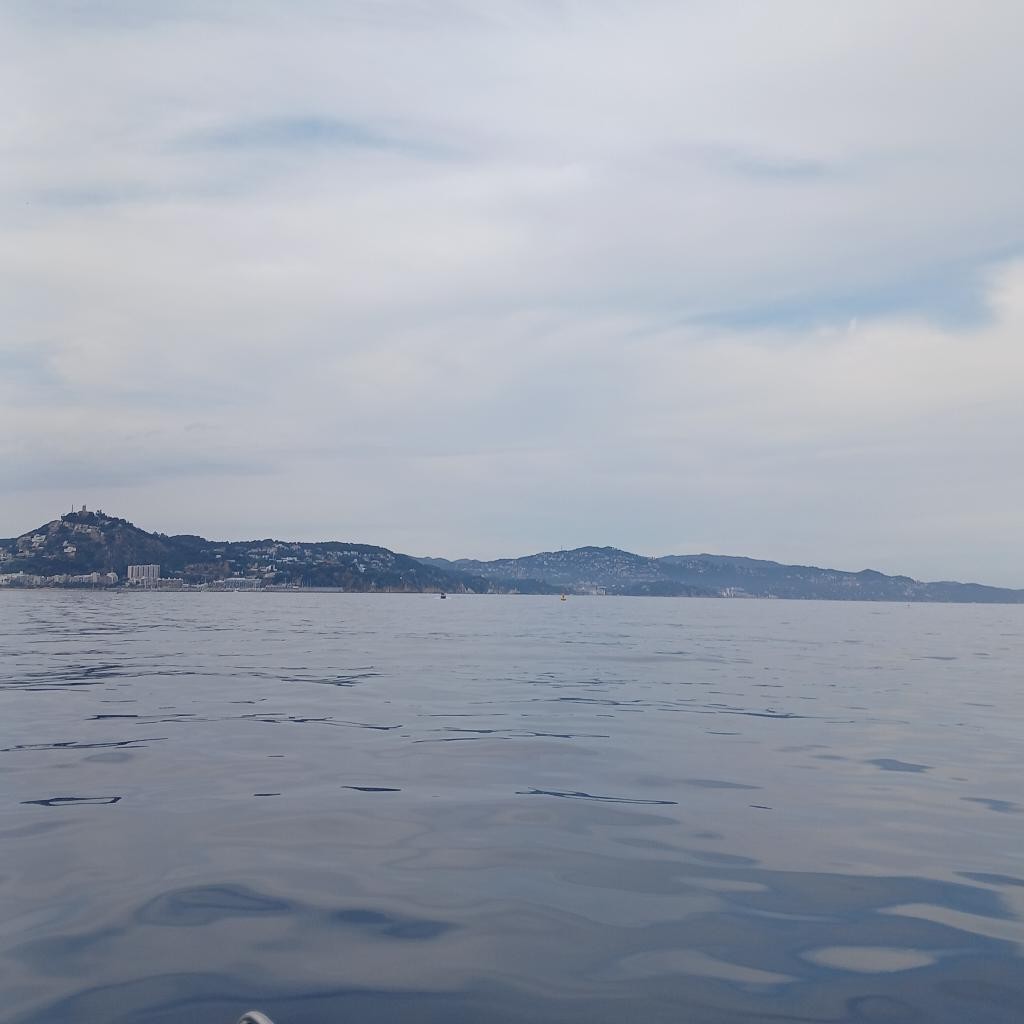 Spot photo 1