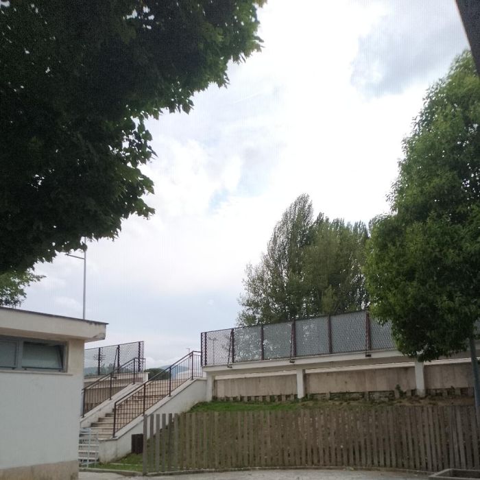 Spot photo 18