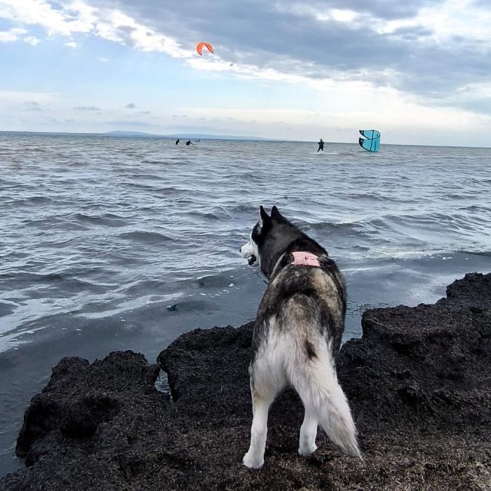 Spot photo 26