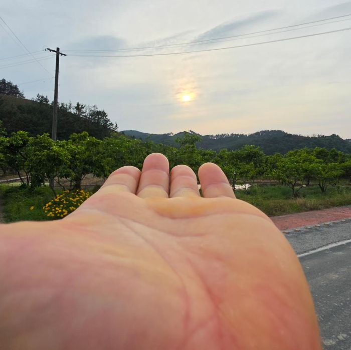 Spot photo 2