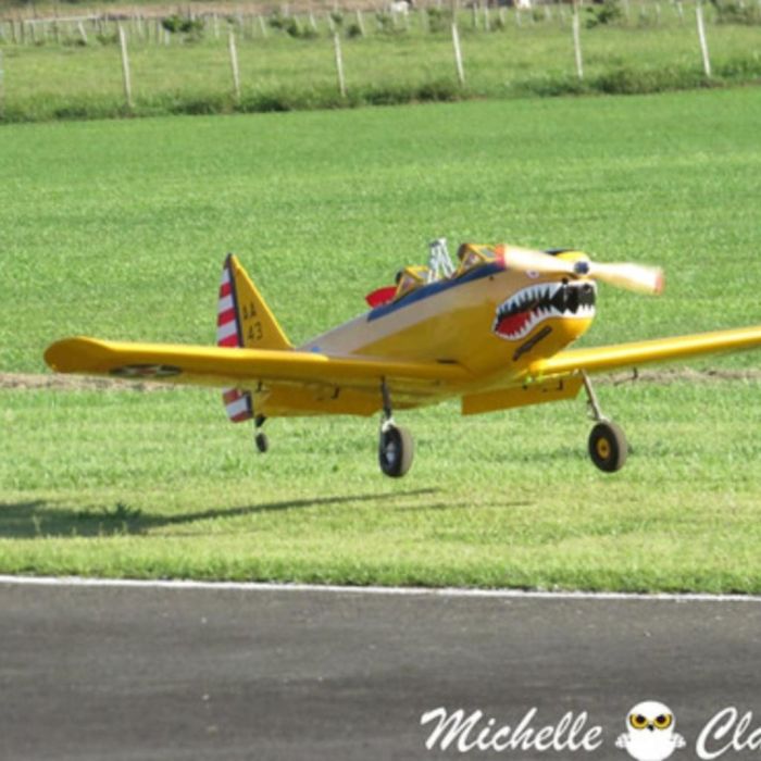 Spot photo 357