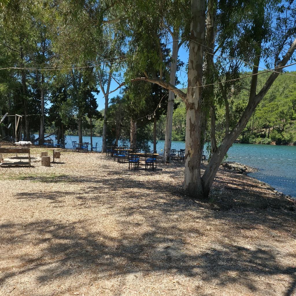Spot photo 2
