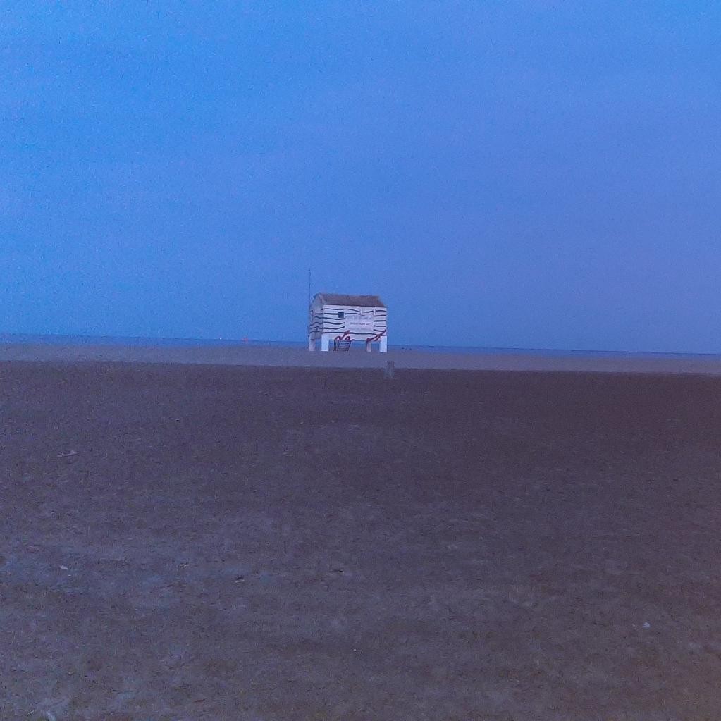 Spot photo 1