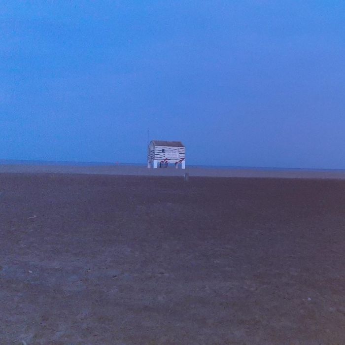 Spot photo 1