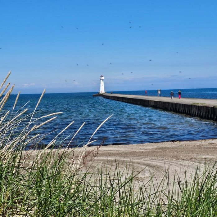 Spot photo 306