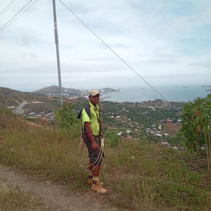 Spot photo 263