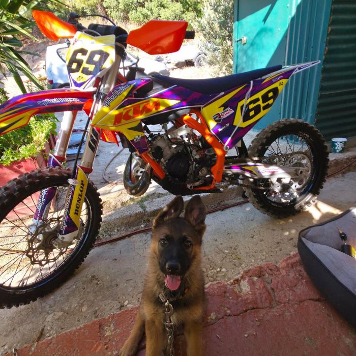 Spot photo 226