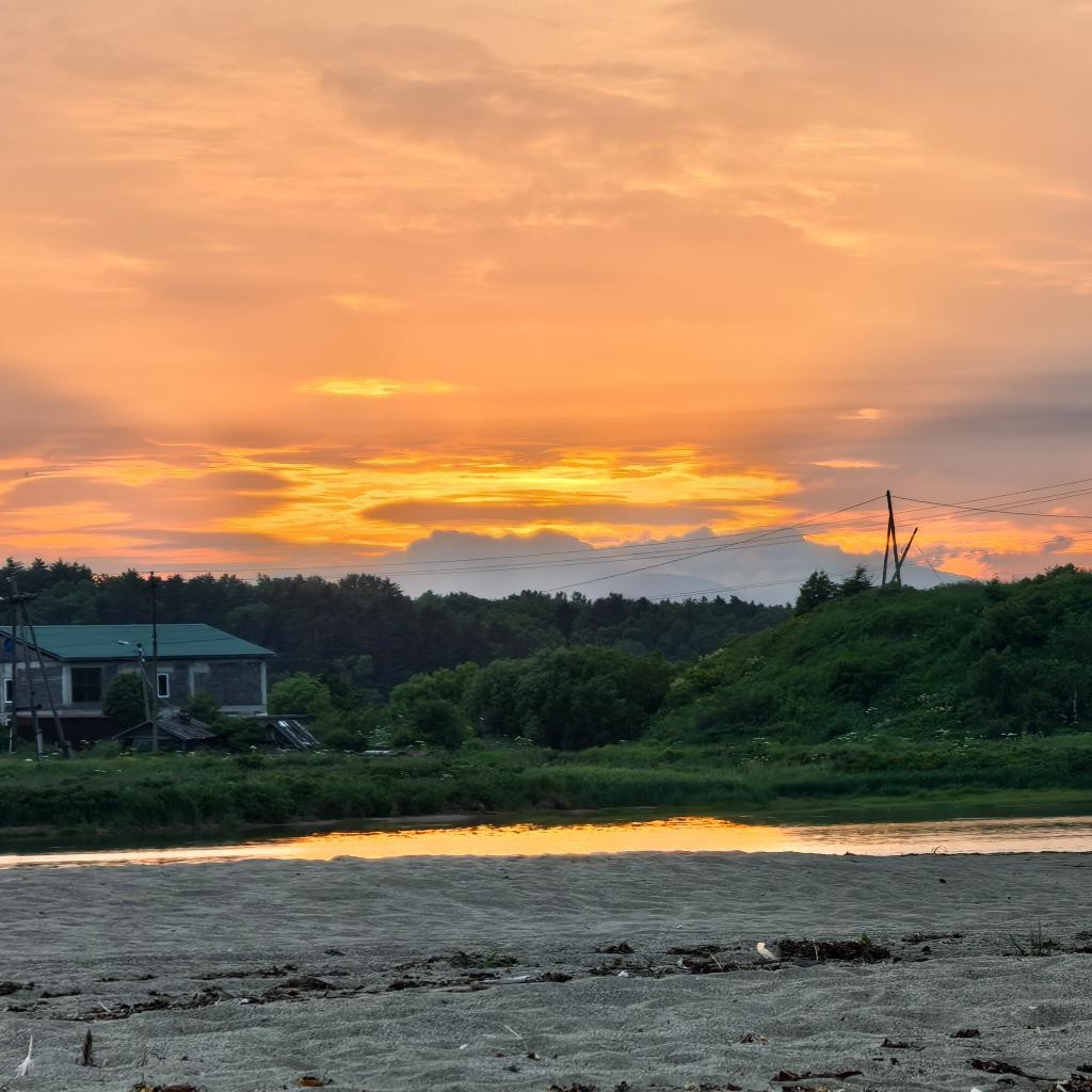Spot photo 1