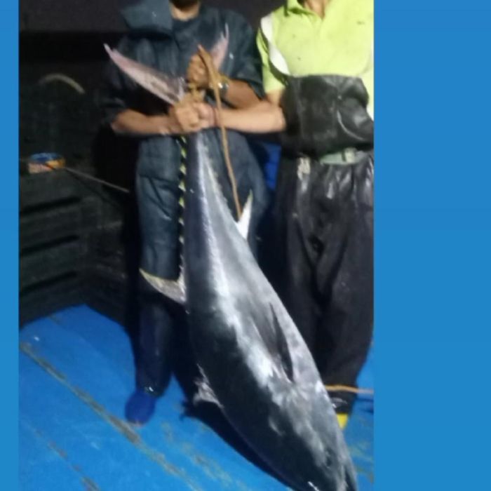 Spot photo 34