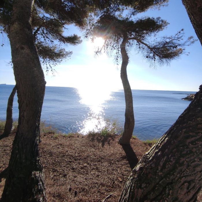 Spot photo 27