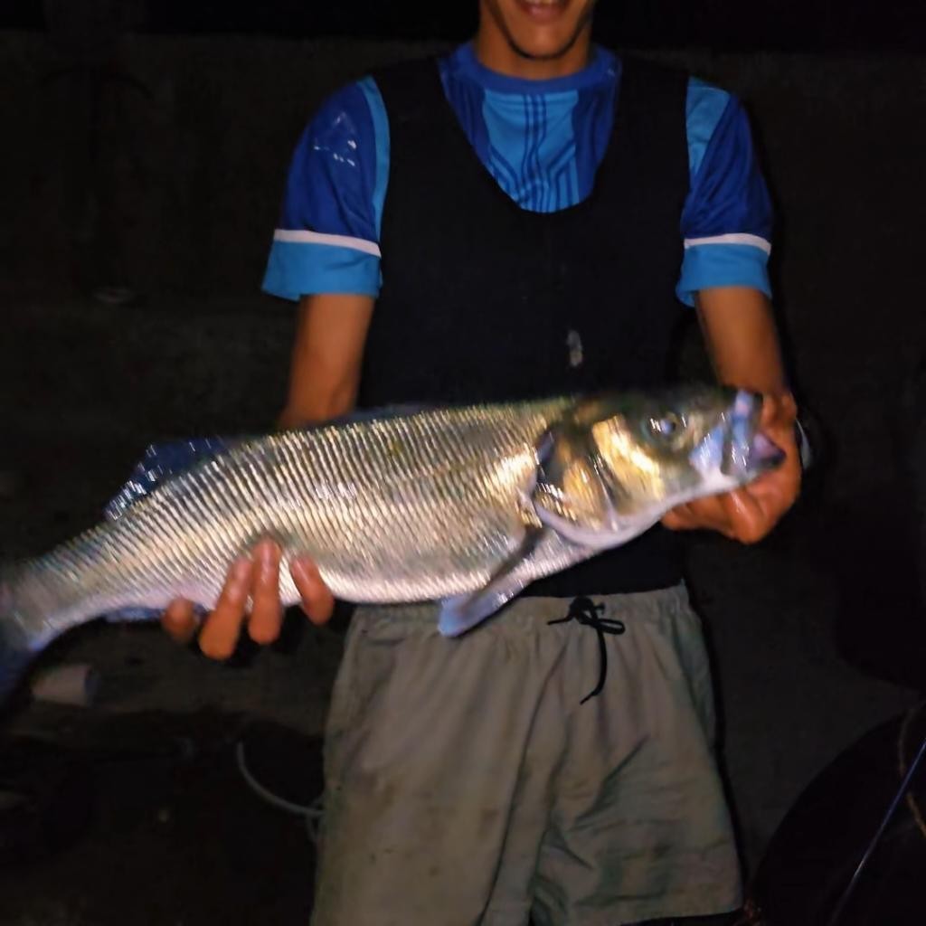 Spot photo 1